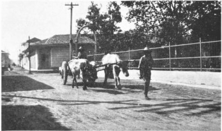 THE AMERICAN INTERVENTION HAD BROUGHT PEACE, BUT MANAGUA’S DUSTY STREETS SUGGESTED NO PROSPERITY