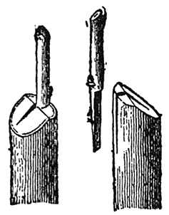 Cleft-grafting