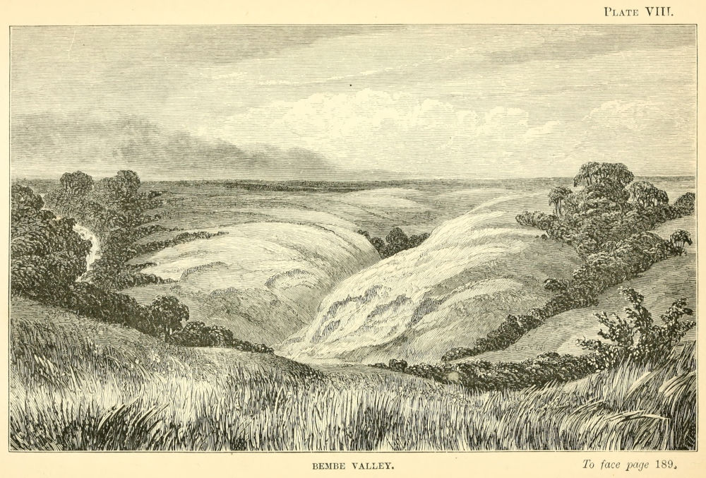 Plate VIII-BEMBE VALLEY