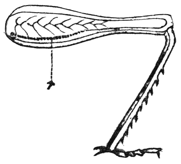 Fig. 33.