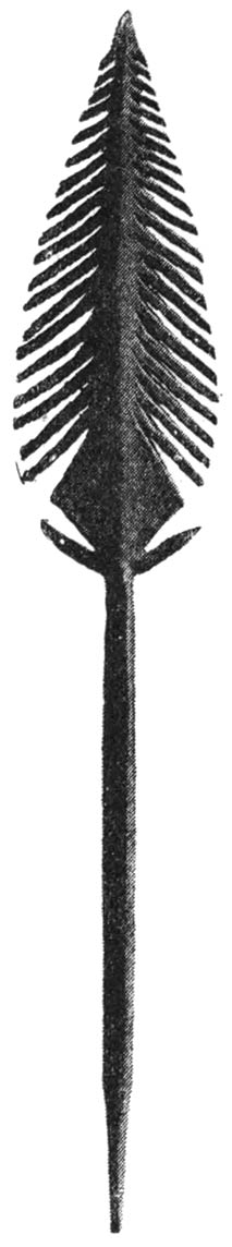 BRONZE SPEAR-HEAD