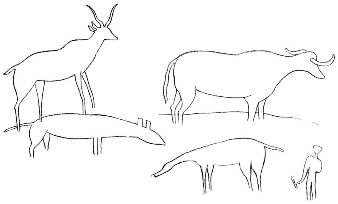 BUSHMAN DRAWINGS FROM NYANGER ROCK