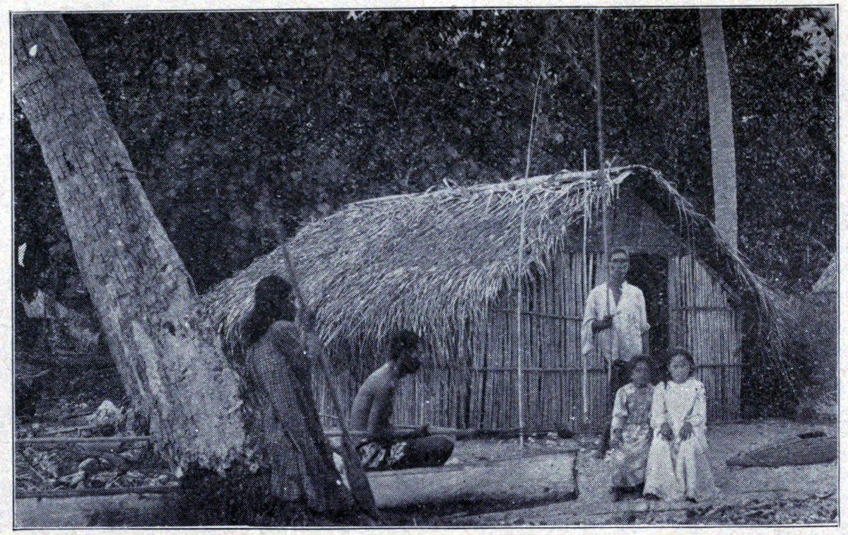 NATIVE HUT