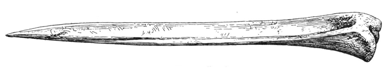 Fig. 33. Bone implement