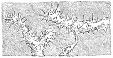 Fig. 86.