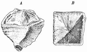 Fig. 137.