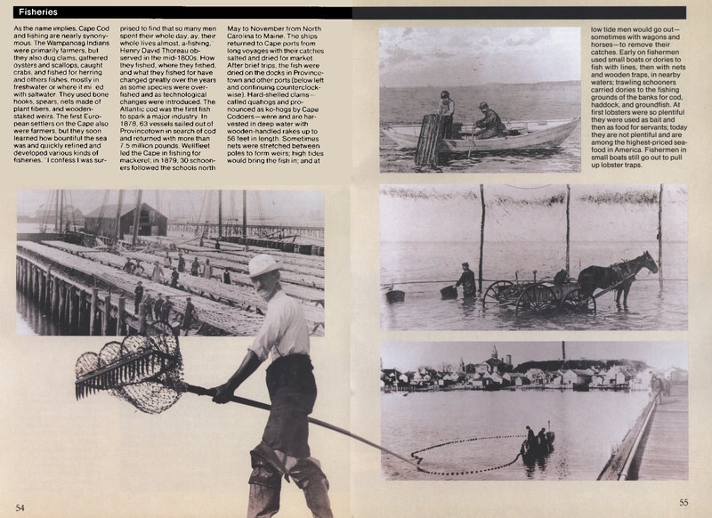 (Fish drying on a wharf in Provincetown.   Fisherman with quahog rake. Small boat raising a trap.   Loading quahogs into a wagon in shallow water.   Collecting quahogs with a net.)