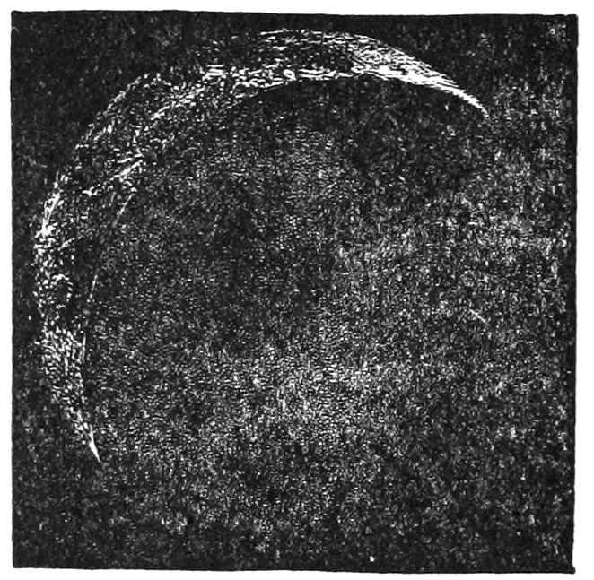 FIG. 7. BETWEEN LAST QUARTER AND NEW MOON.