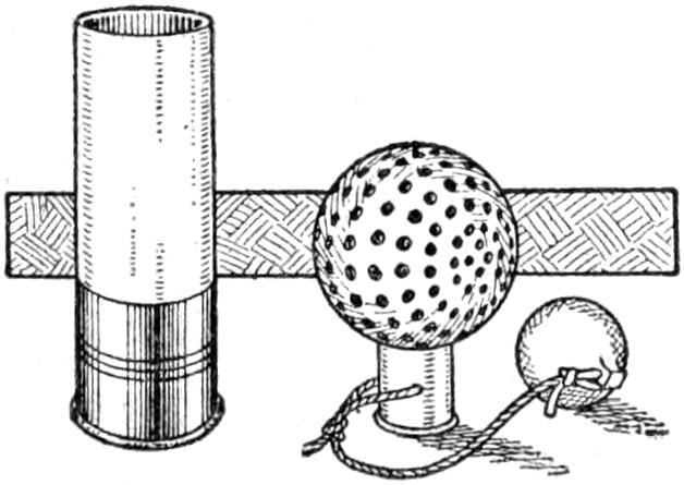 Golf tee made out of bottom part of shell