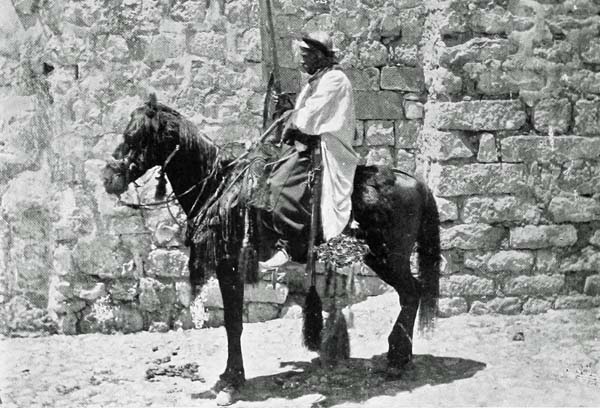 ARAB HORSEMAN