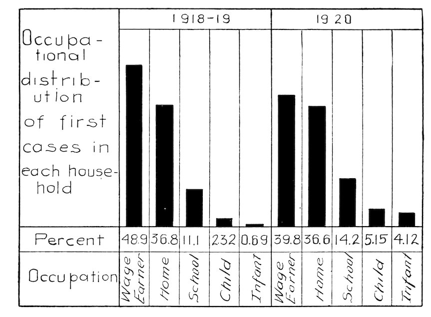 Occupational distribution of first cases in each household