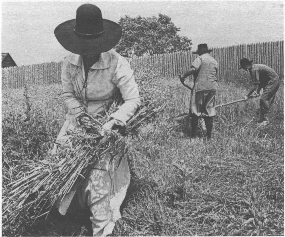 Harvesting