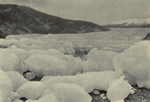 Stranded Icebergs, Taku Glacier