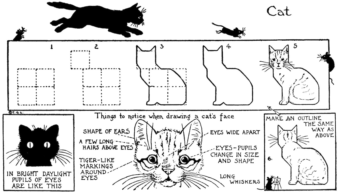 Cat IN BRIGHT DAYLIGHT PUPILS OF EYES ARE LIKE THIS Things to notice when drawing a cat’s face SHAPE OF EARS EYES WIDE APART A FEW LONG HAIRS ABOVE EYES EYES—PUPILS CHANGE IN SIZE AND SHAPE TIGER-LIKE MARKINGS AROUND EYES LONG WHISKERS MAKE AN OUTLINE THE SAME WAY AS ABOVE