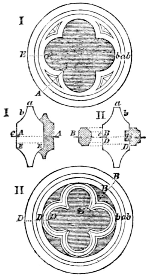 [Cusps]