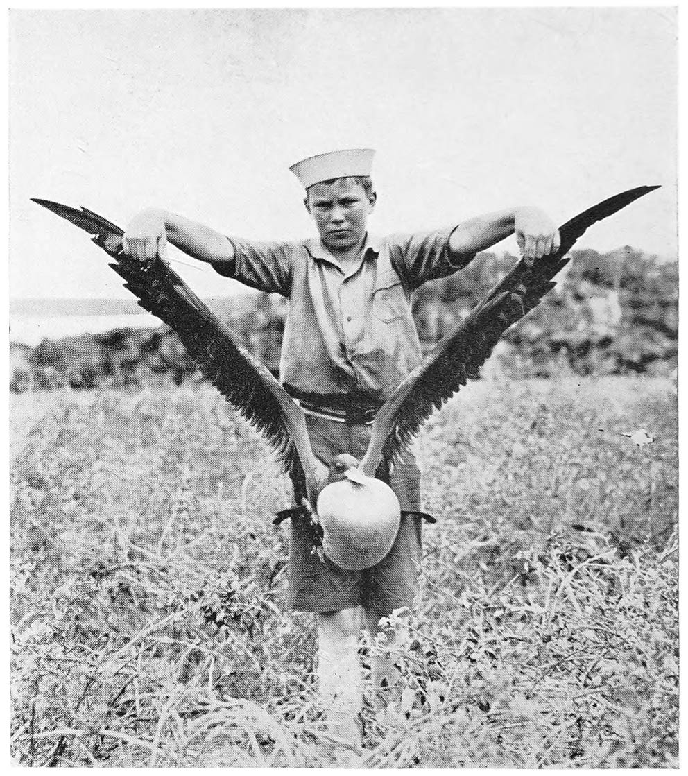 “I Lifted a Frigate Bird Off His Nest.”