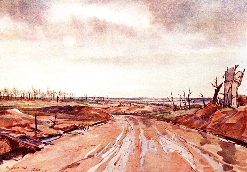 Trench landscape