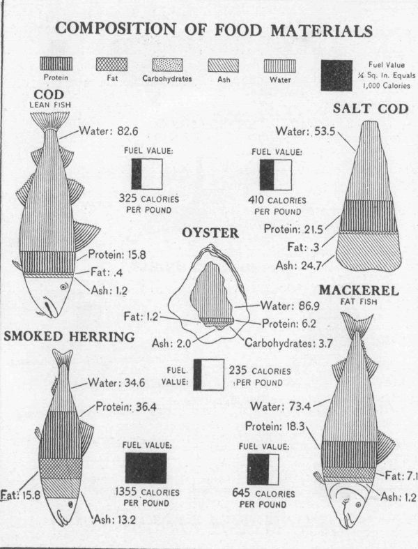 [Illustration: Composition of food materials]