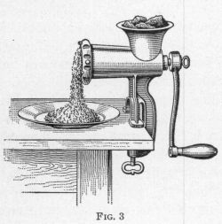 <p>[Illustration: Fig. 3]</p>