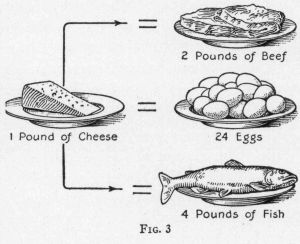 [Illustration: Fig. 3]