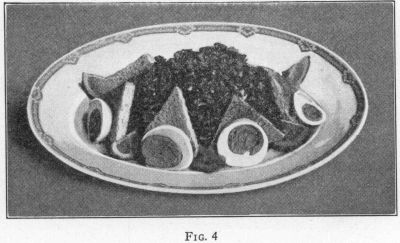 [Illustration: FIG. 4]