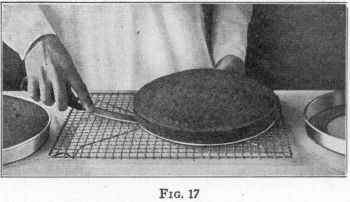 [Illustration: Fig. 17]