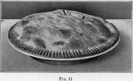 [Illustration: FIG. 11]