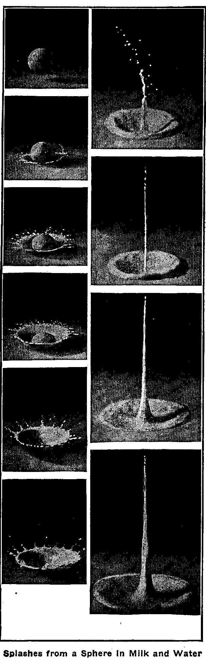 Splashes from a Sphere In Milk and Water 