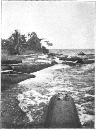 There, in the Surf, We Found These Tons of Mahogany,
Pounding Against Each Other.