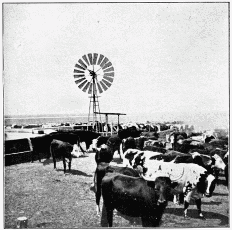 Watering-Place at Barrancosa.