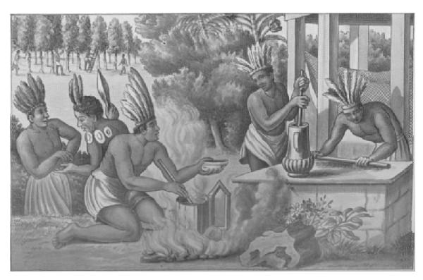 Native Americans Preparing and Cooking Cocoa.

Ogibe's "America," 1671.