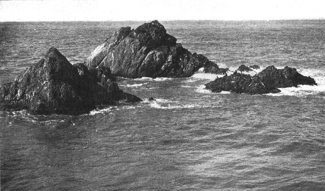 Seal Rocks near San Francisco, California, showing
slight effect of waves where there is no beach.