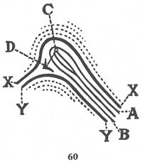 Fig. 60