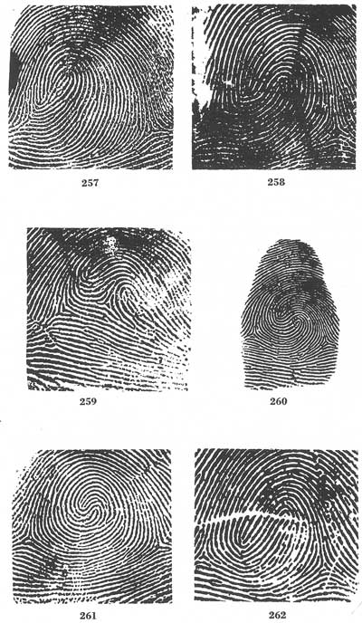 Figs. 257-262