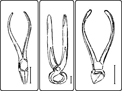 Fig. 182. Fig. 183. Pincers. Pliers. Fig. 184. Nippers.