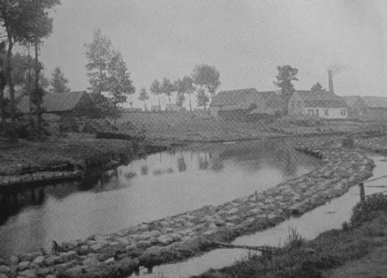 RETTING FLAX IN THE RIVER LYS, BELGIUM