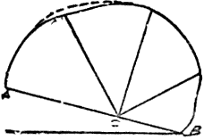 Outline of skull viewed from the left.