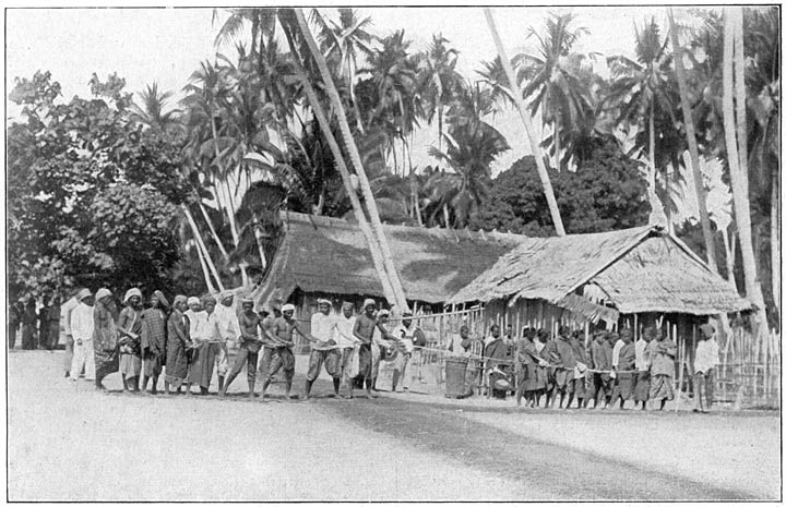 Touwtrekken op Morotai. (Phot. Baretta).