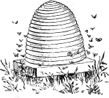 beehive