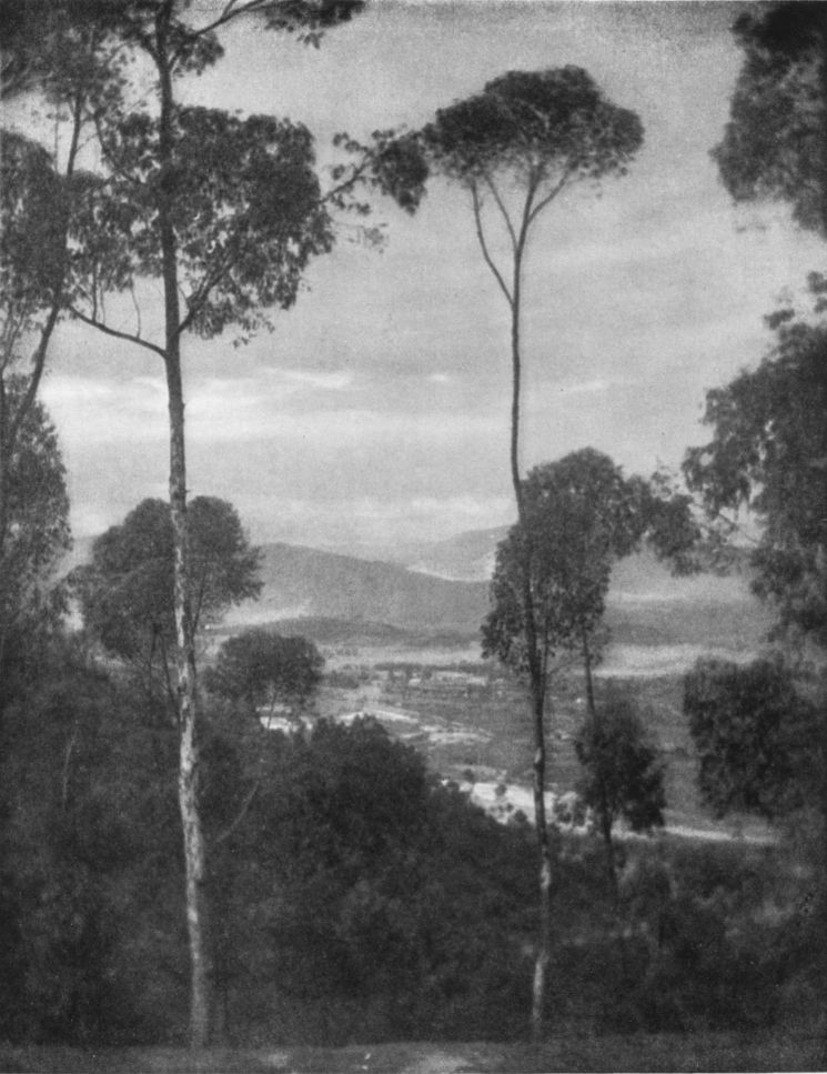 ELYSIAN PARK VISTA, By David J. Sheahan, Los Angeles, Cal.