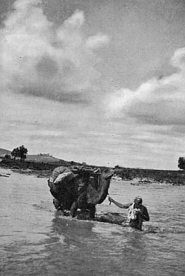 TRANSPORTING OUR BAGGAGE.