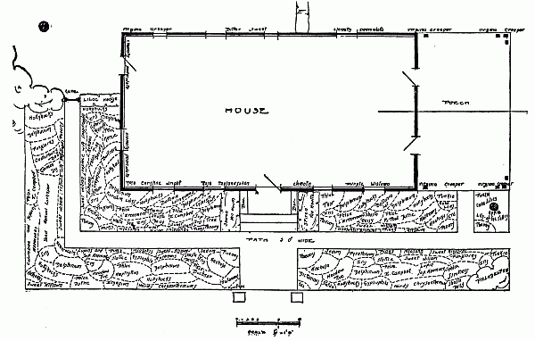 Plan for a border of Perennials