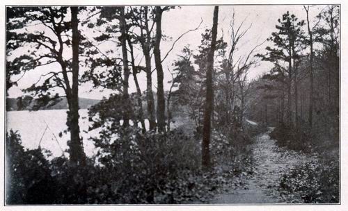 Billington Path along the Border of "Billington Sea"