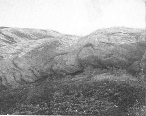 Glacial grooves in the South Meadow, Central Park, New
York