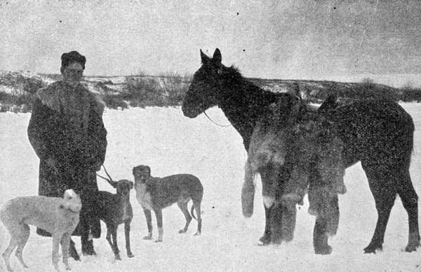 North Dakota Wolf Hounds.