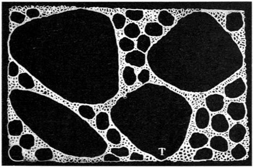 Three Determining Sizes of Solid Particles in Concrete