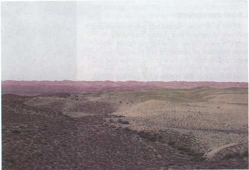 Tengger Desert