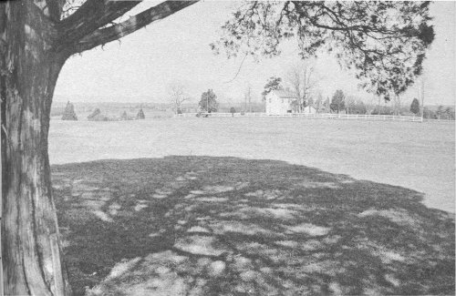 View northwest across Henry Hill. The present Henry House is seen in center background.