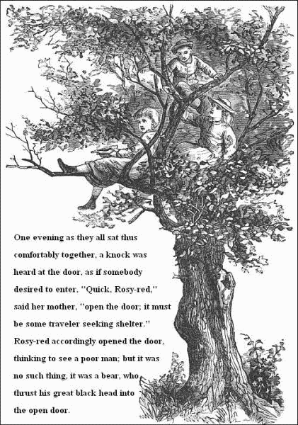 One evening as they all sat thus comfortably together, a knock was
heard at the door, as if somebody desired to enter, 'Quick, Rosy-red,'
said her mother, 'open the door; it must be some traveler seeking
shelter.' Rosy-red accordingly opened the door, thinking to see a poor
man; but it was no such thing, it was a bear, who thrust his great
black head into the open door.