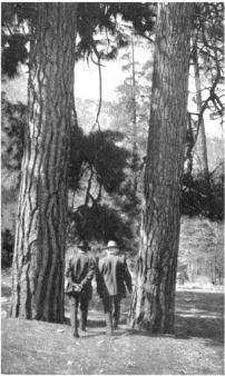 Photo by F. P. Clatworthy

John Muir and John Burroughs in the Yosemite Valley